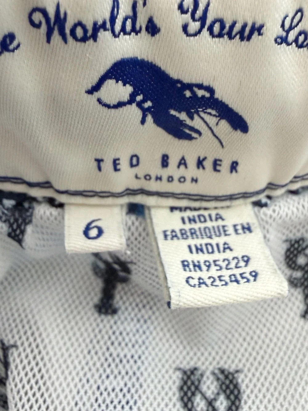 Ted Baker Mens Blue Geometric Print Swim Trunks 2XL/6 The Worlds Your Oyster